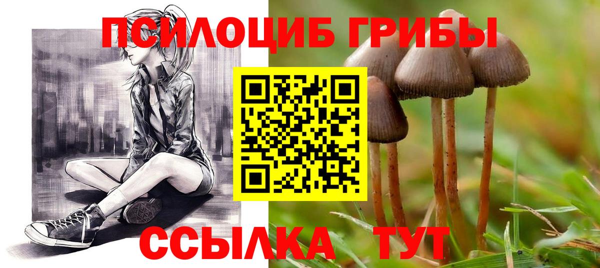 Псилоцибиновые грибы GOLDEN TEACHER  Вход с VPN  Галлюциногенные грибы Psilocybe  Учалы 